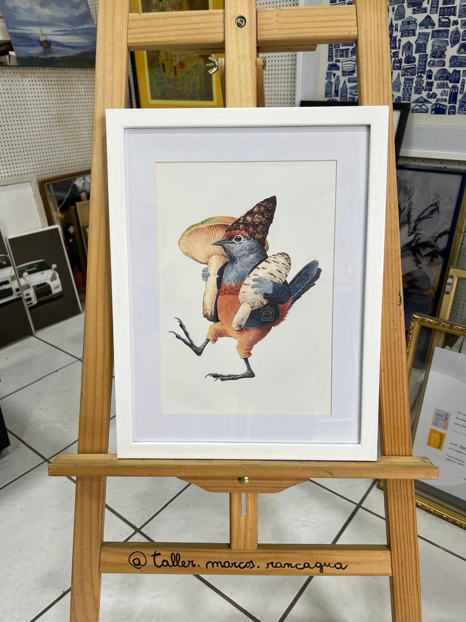 Impresión ilustrada pájaro whimsical enmarcada