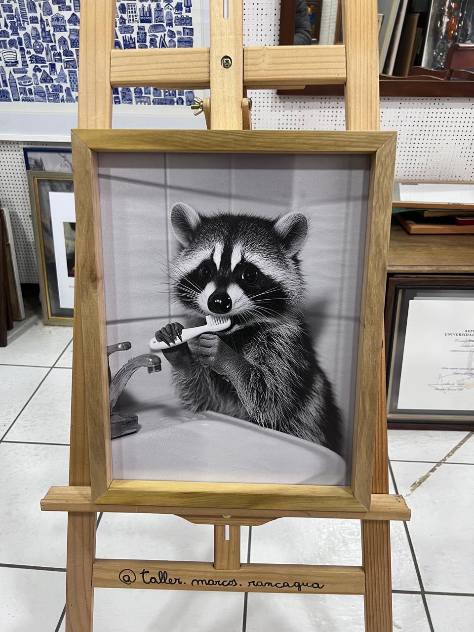 Fotografía artística en blanco y negro de mapache enmarcada en marco de madera natural
