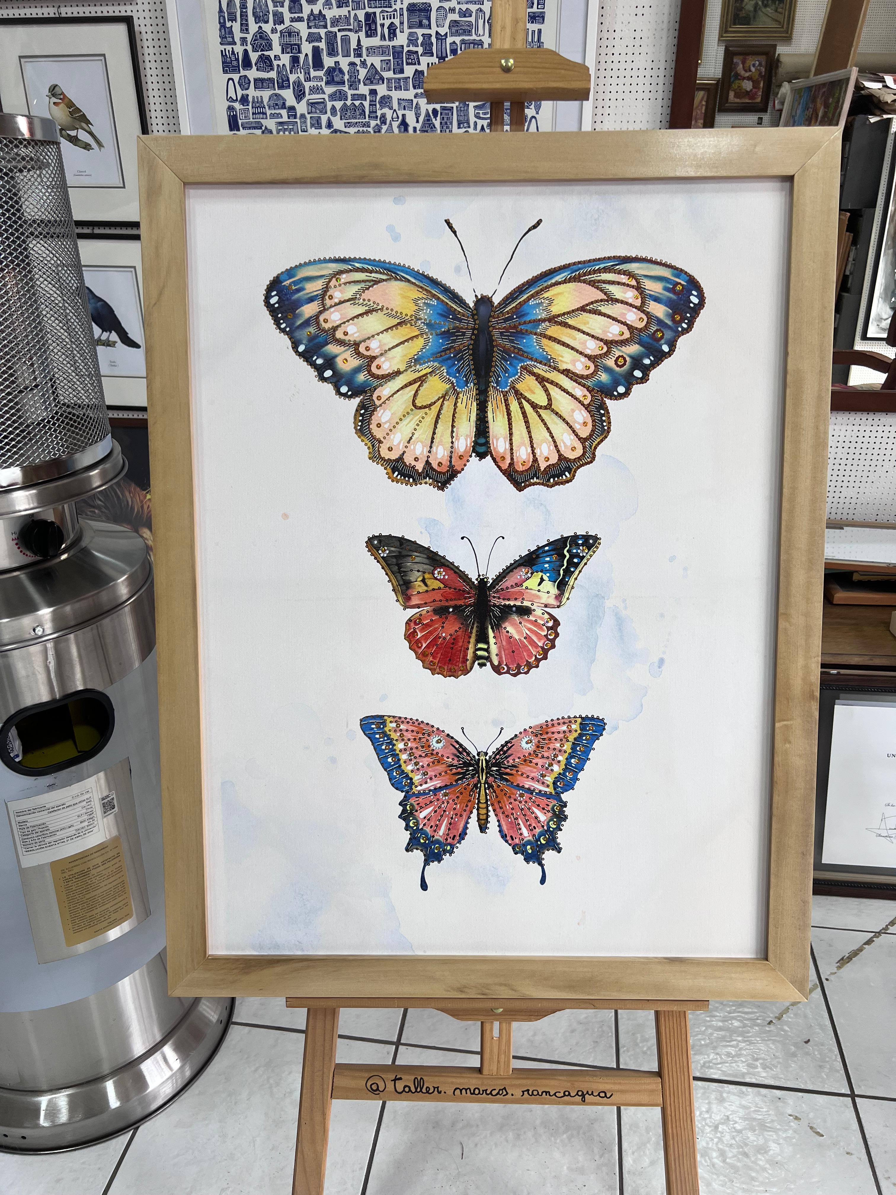 Lámina de mariposas enmarcada en marco natural