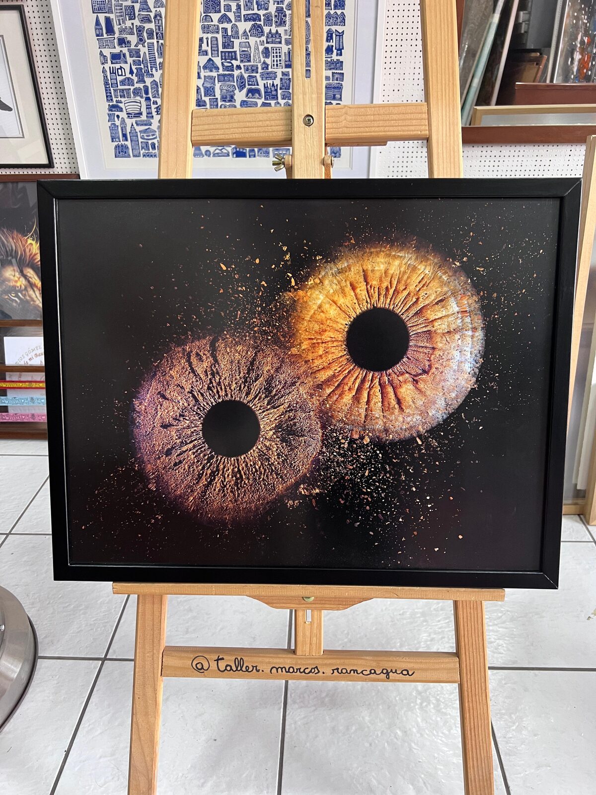 Impresión de dos iris enmarcada en moldura negra