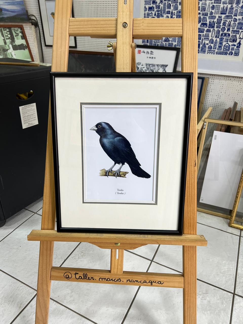 Chucao — Ilustración enmarcada